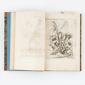 Beautiful botanical work with 177 engravings, 1641 (-44).