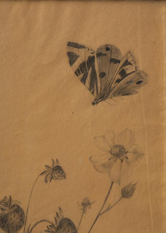 Ramar, ett  par, Sverige, tidigt 1800-tal, Empire, med blomsterstudier av Margareta Tröne (1804-1830).