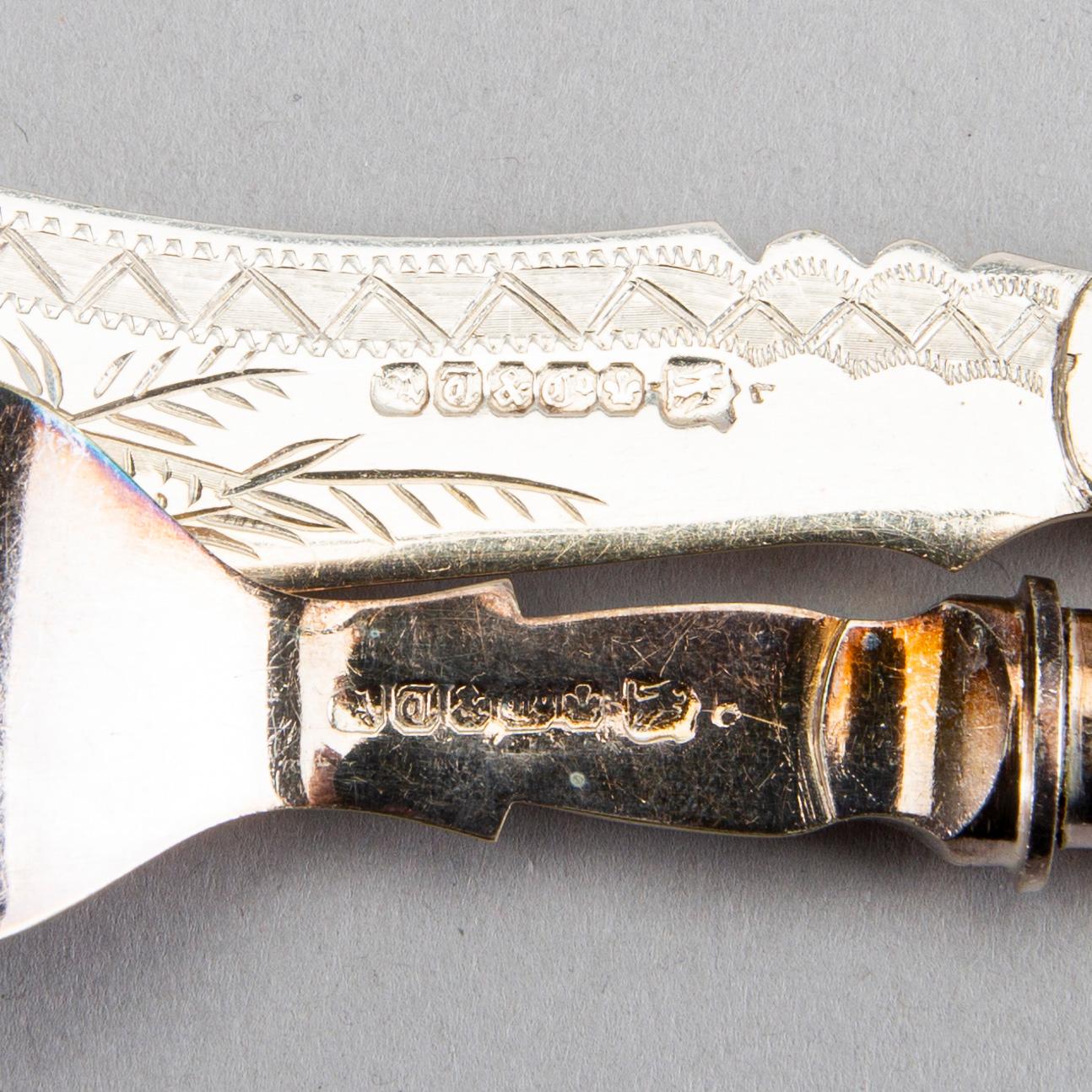 FISKBESTICK, pläter, England, 42 delar, 1900-talets början.