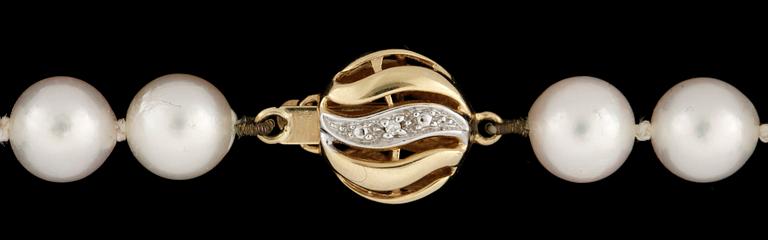 PÄRLCOLLIER, odlade saltvattenspärlor med lås i 18k guld, 1900-talets andra hälft.