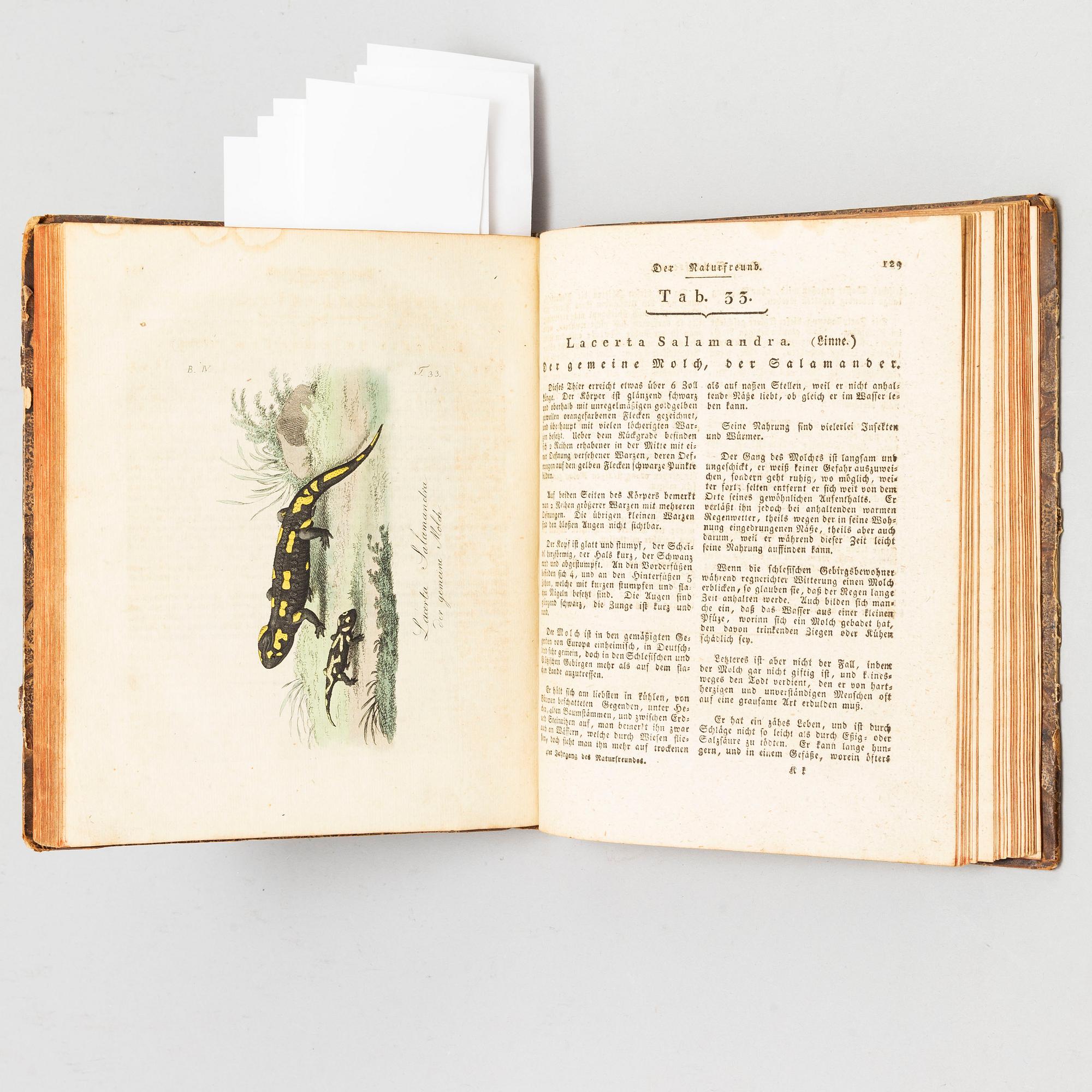 BOOK, with hand coloured dry needle engravings.