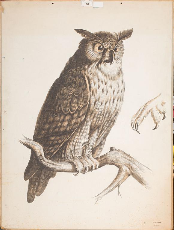 SKOLPLANSCHER, 5 st, 1900-tal.