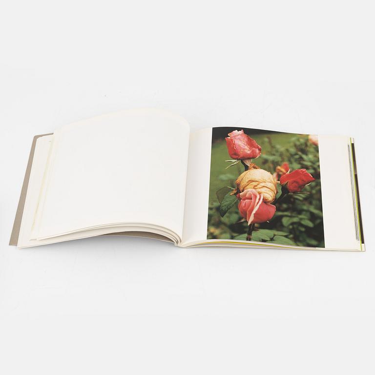 Wolfgang Tillmans, 3 photobooks.