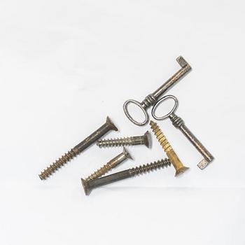 A Swedish manhogany bibliotheque, Stockholm, 1820's.