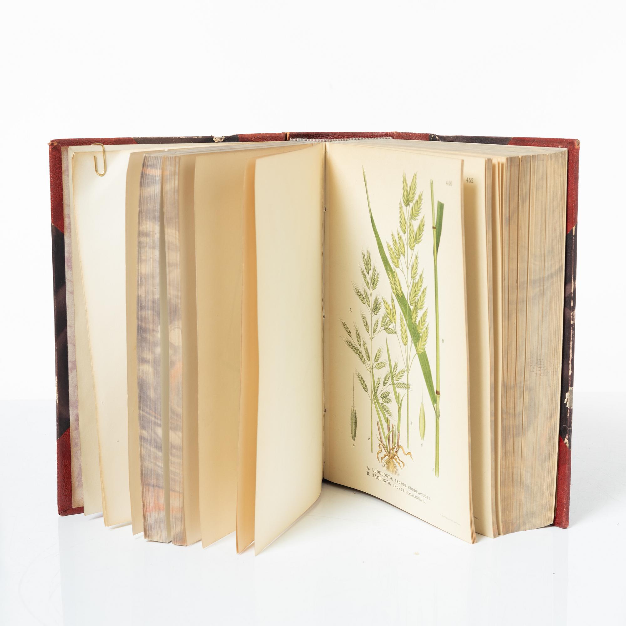 C.A.M Lindman, Bilder ur Nordens Flora, 3 band. Wahlström & Widstrand, 1922-1926.