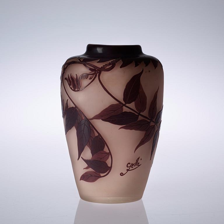 VAS, glas, Emile Gallé, Nancy, Frankrike, jugend.