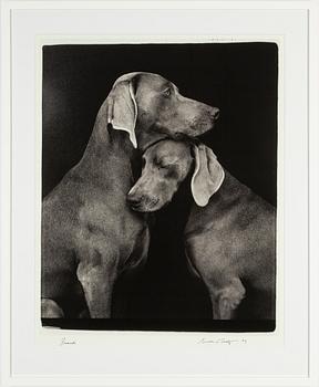 William Wegman, archival pigment print 2009, signed. Numbered 117/1500 verso.