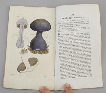 JOHAN WILHELM PALMSTRUCH, "Svensk Botanik, vol I-V. 1803-1805.