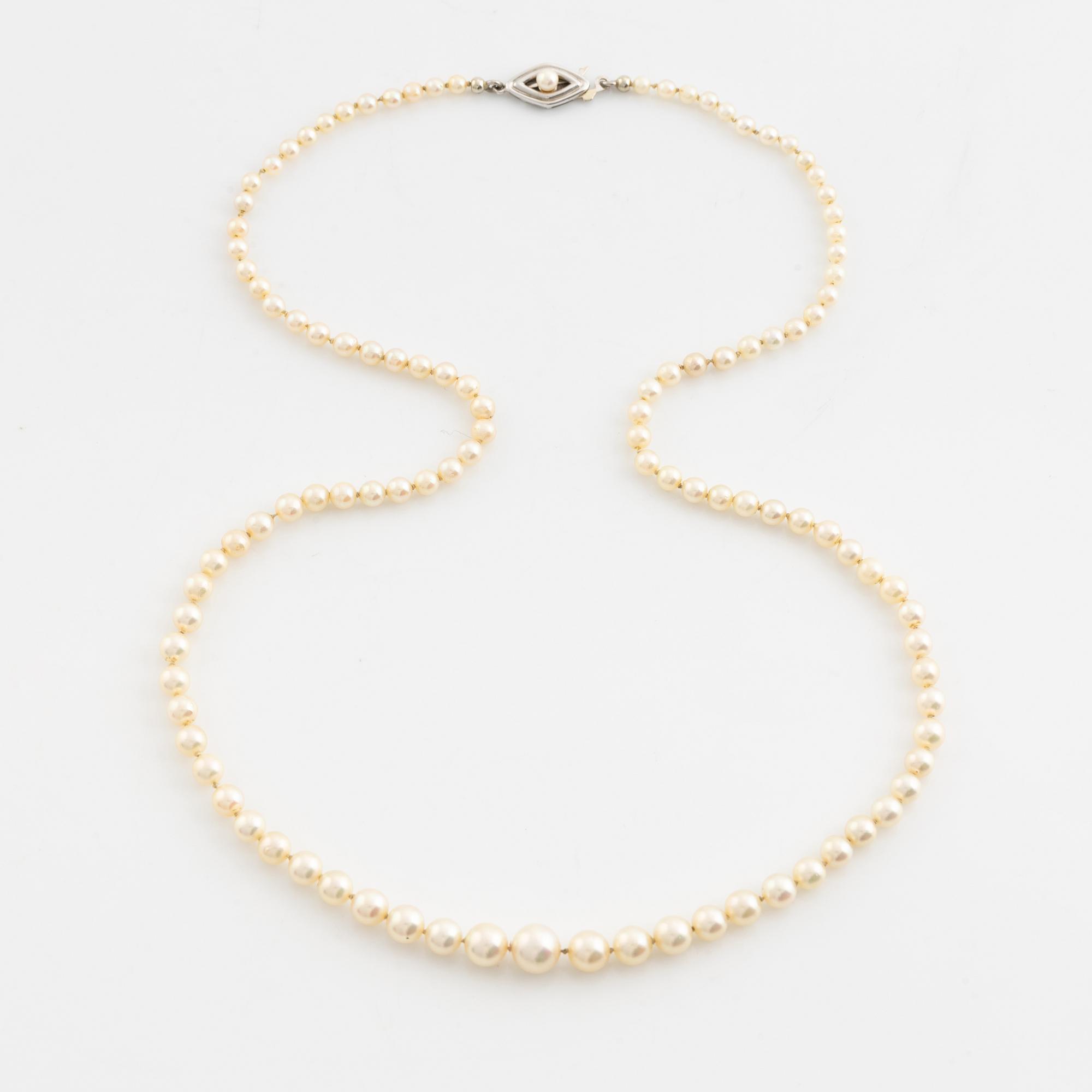 Calibrated cultured pearl necklace.