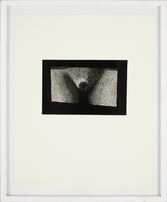 JUKKA VÄNTTINEN, mezzotint, sign, dat 90 o numr 17/260.