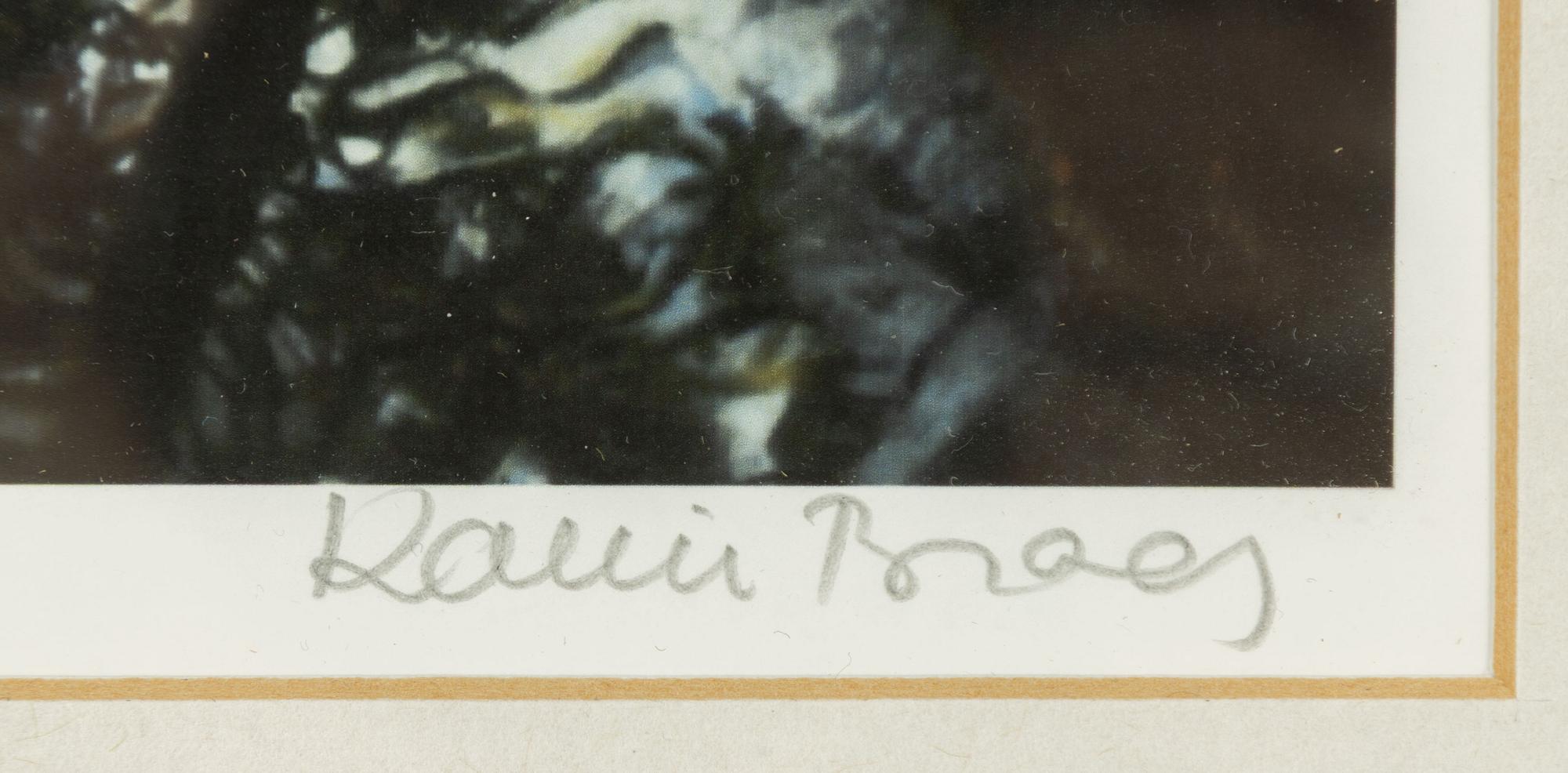 Karin Broos, "Tjärn 3".