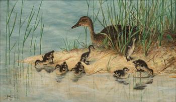 Okänd konstnär 1800/1900-tal,.