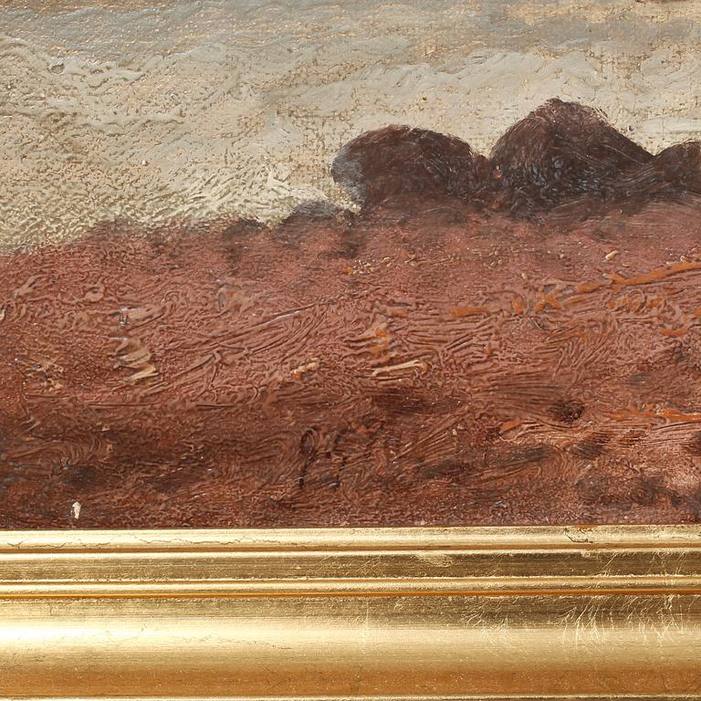 OKÄND KONSTNÄR, olja på duk, otydl sign.