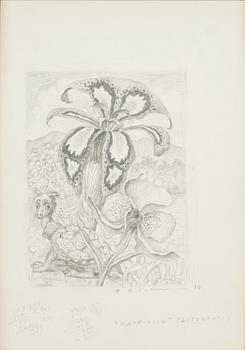 Karl Axel Pehrson, "Capriccio".