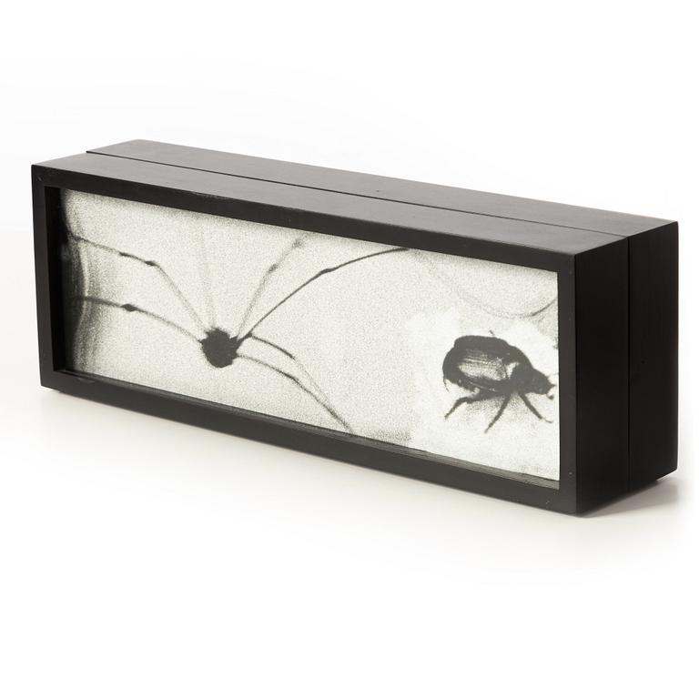 Hope Sandrow, "Spider Beetle", 1989.