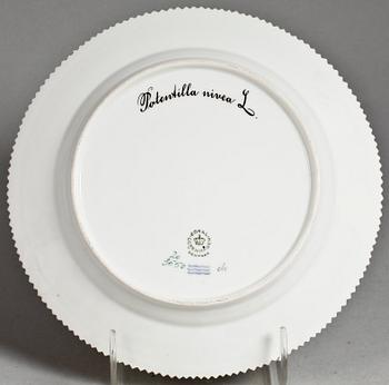 TALLRIK, porslin. Flora danica, Kunglig dansk 20/2550.