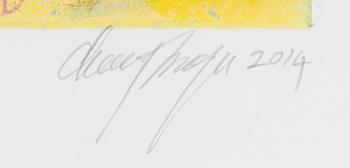 Canal Cheong-Jagerroos, Sommitelma.