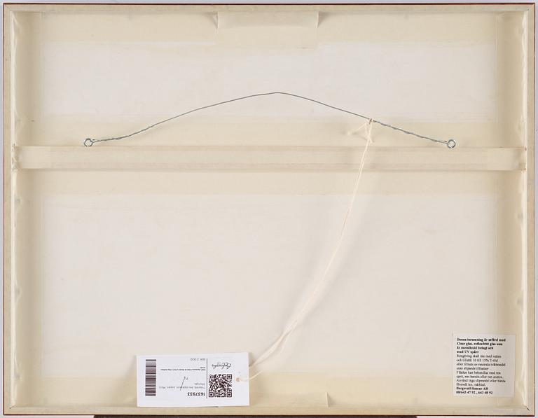 Oidentifierade konstnärer, färgträsnitt, shunga, albumblad, tre diptyker, Japan, 1800-tal.