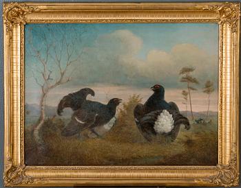 Johan Jakob Reinberg, MATING.