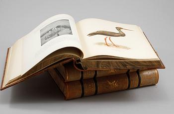 BÖCKER, tre volymer, "Svenska Fåglar", M,W & F von Wright, Stockholm, 1924-1929.