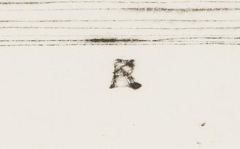 Pentti Kaskipuro, Punajuuri ja lantunpala.