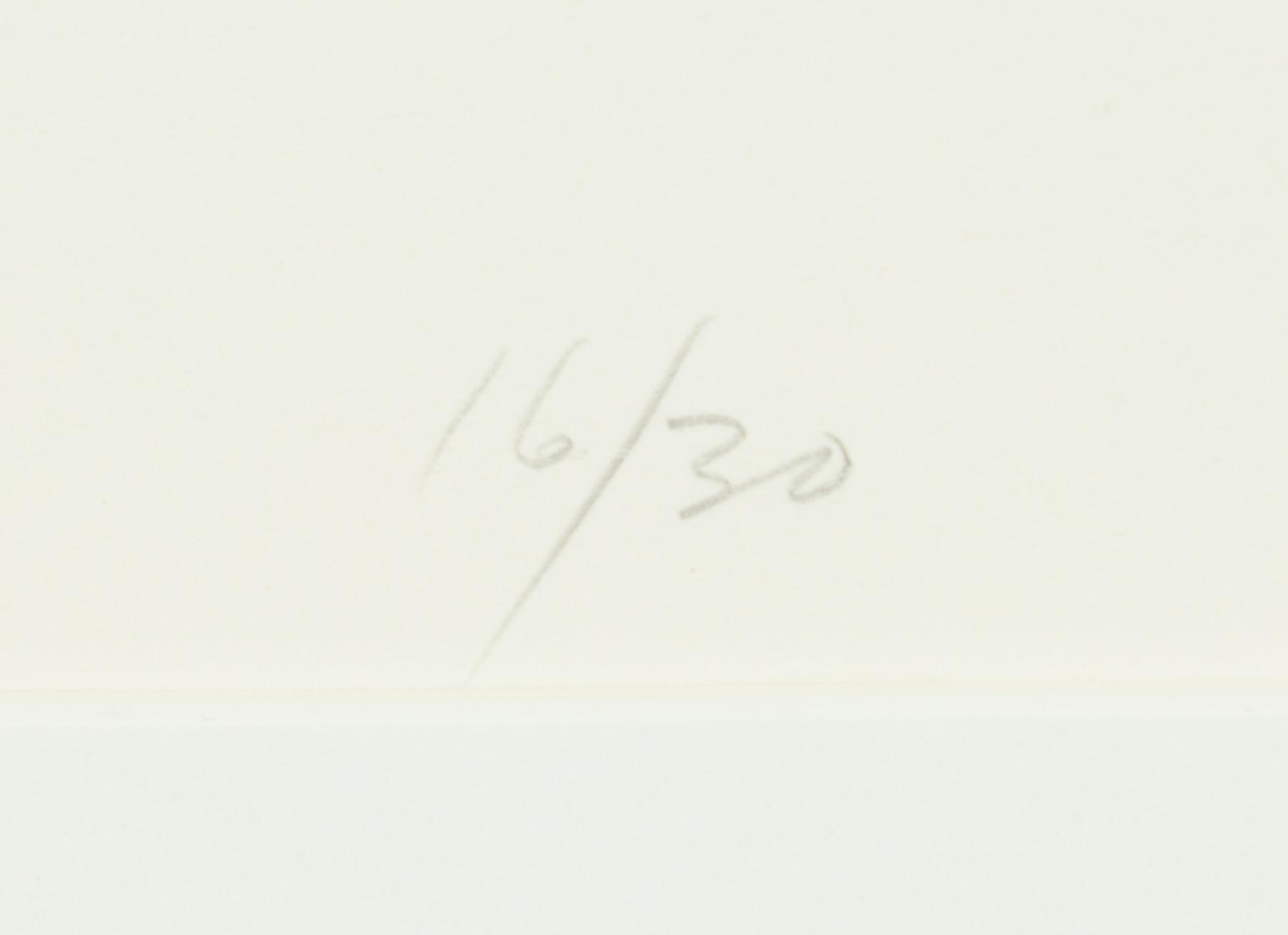 Sam Francis, "20th Anniversary - The American Film Institute 1967-1987".