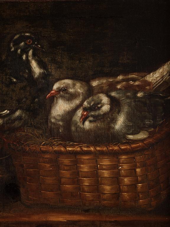 Spanish school, 17/18th Century, Still life with birds in nest / dead birds.
