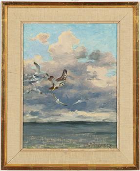 Thure Wallner, Sea birds.