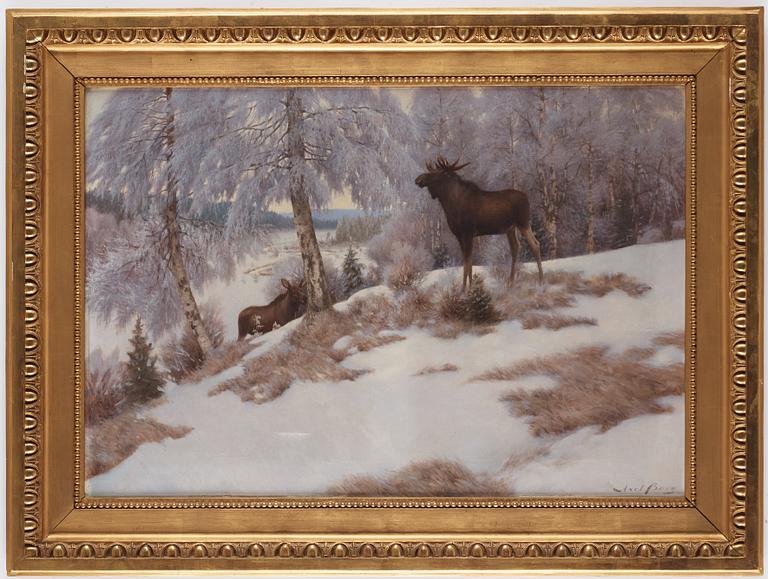 Axel Borg, Elks in winter landscape.