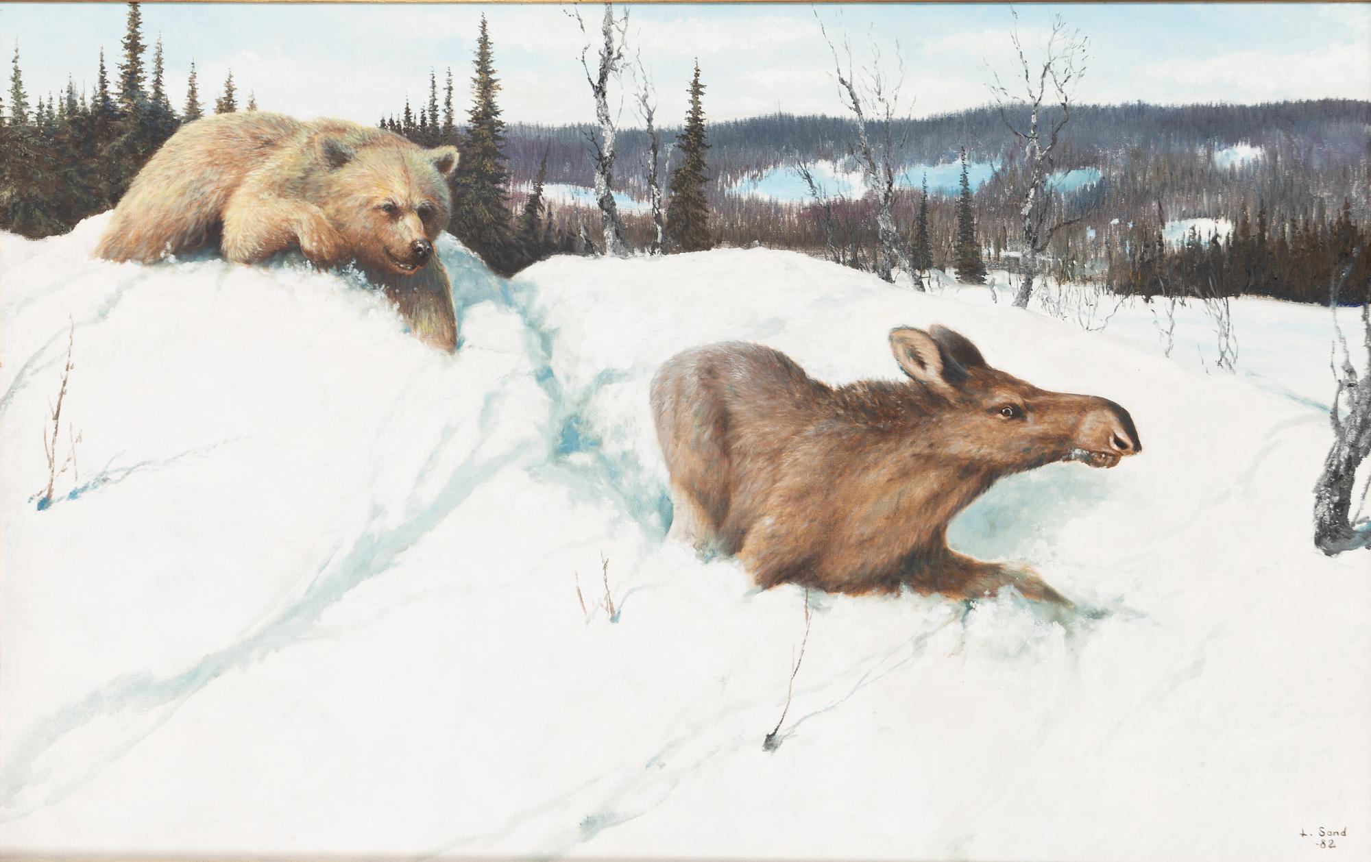 Lennart Sand, 'Björn och fjolårskalv (Bear and last year's calf)'.