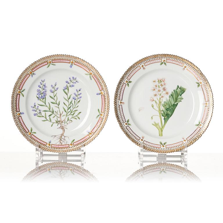 Tallrikar, 10 stycken, porslin. "Flora Danica", Danmark, 1900-tal.