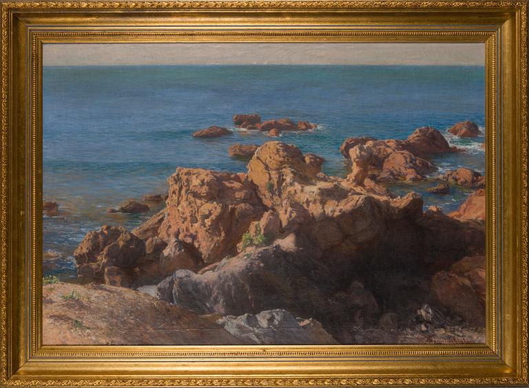 ELIN DANIELSON-GAMBOGI, KLIPPOR I SOLLJUS.