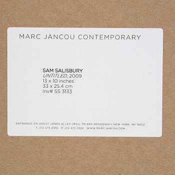 Sam Salisbury, "UNTITLED".