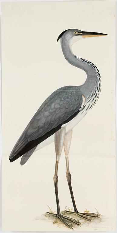 Olof Rudbeck A portfolio and two books, 1985. 35 litographs in color.