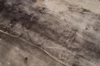 Carpet "Limited Edition". approx. 392 x 670 cm.