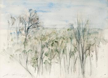 605. Aimo Kanerva, KEVÄINEN HESPERIANPUISTO.