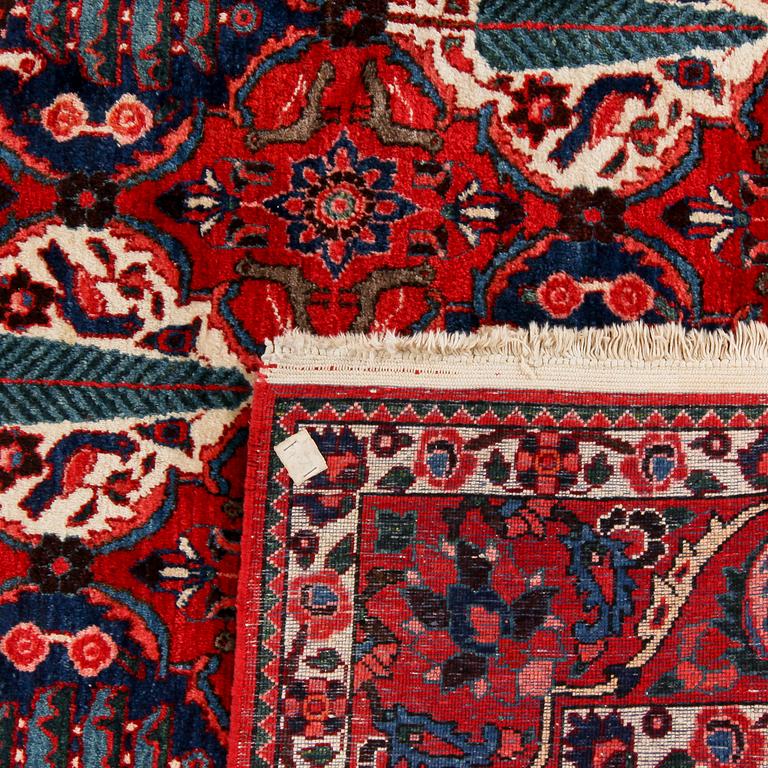 MATTA, Bakhtiari, semiantik, 310x210 cm.