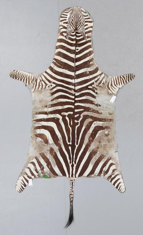 ZEBRASKINN, Zambia, 1980-tal.