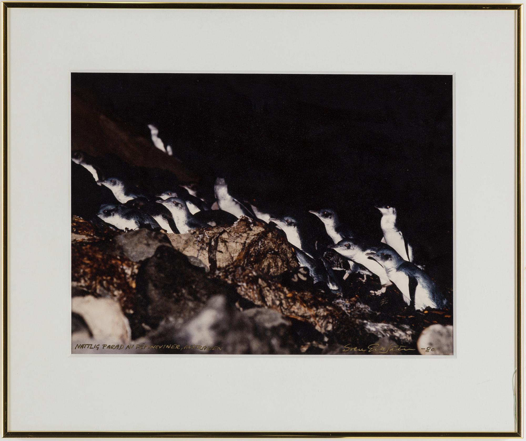 SVEN GILLSÄTER, fotografier, tre stycken. Signerade och daterade.