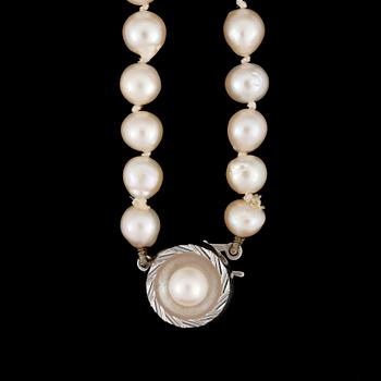 PÄRLCOLLIER, odlade pärlor, silverlås.