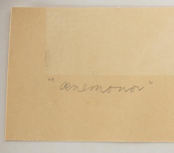 Maja Fjaestad, "Anemones".