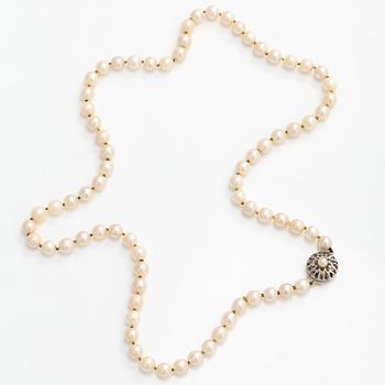 Pärlcollier, odlade pärlor, lås 18K vitguld.