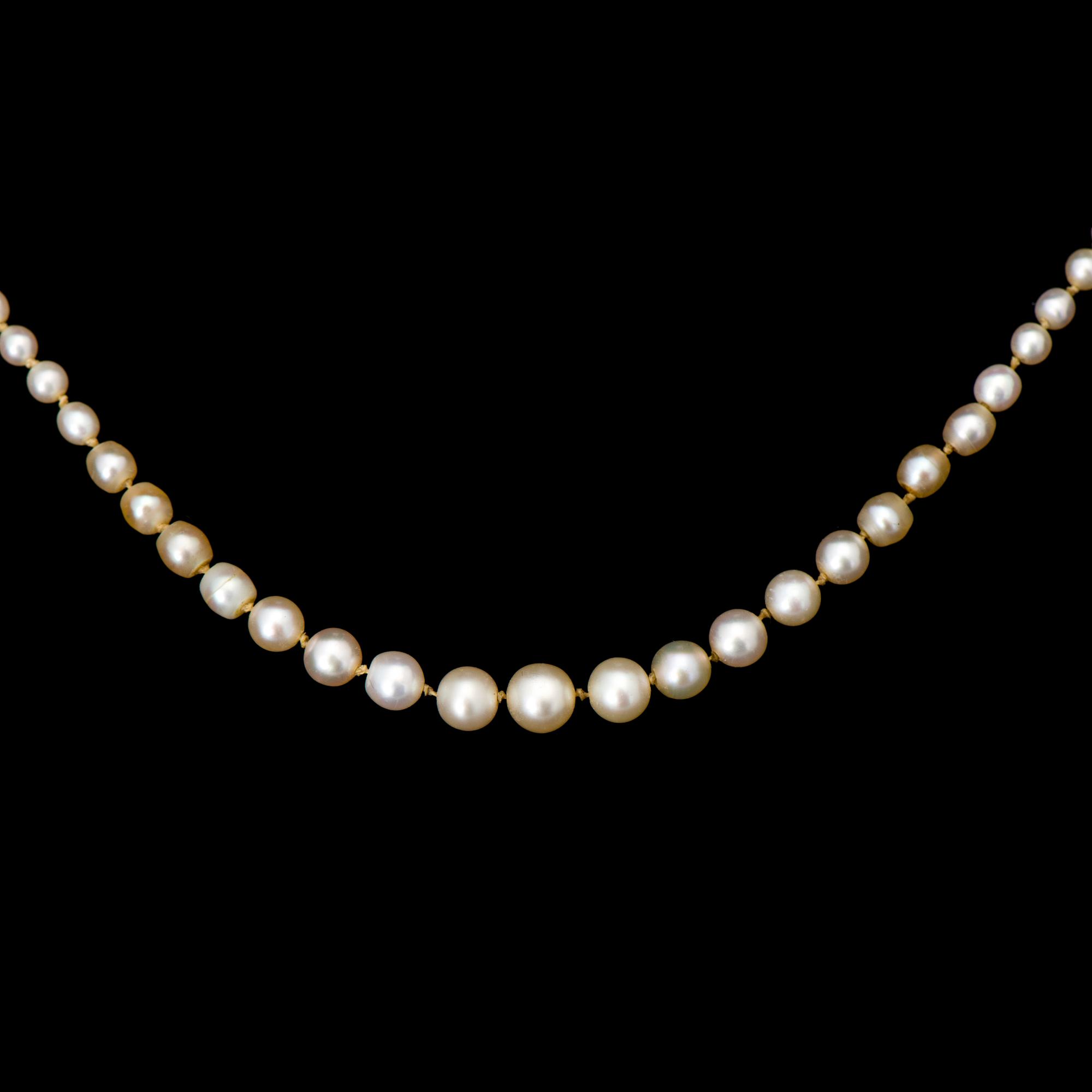 PÄRLCOLLIER, orientaliska pärlor, lås 18k guld med rosenslipade diamanter.