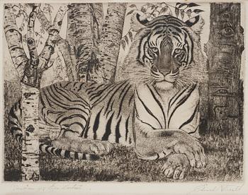 898. Eduard Wiiralt, "Reclining tiger" (Lamav tiiger).
