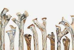 Francesca Mascitti-Lindh – A Lifelong Artistic Journey E1440