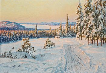 654. Anshelm Schultzberg, "Vinterdag i Ludvikatrakten" (Winter day near Ludvika).