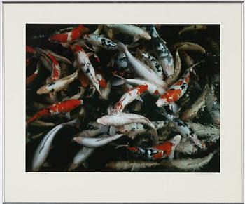 Hans Hammarskiöld, photograph signed and dated -82.