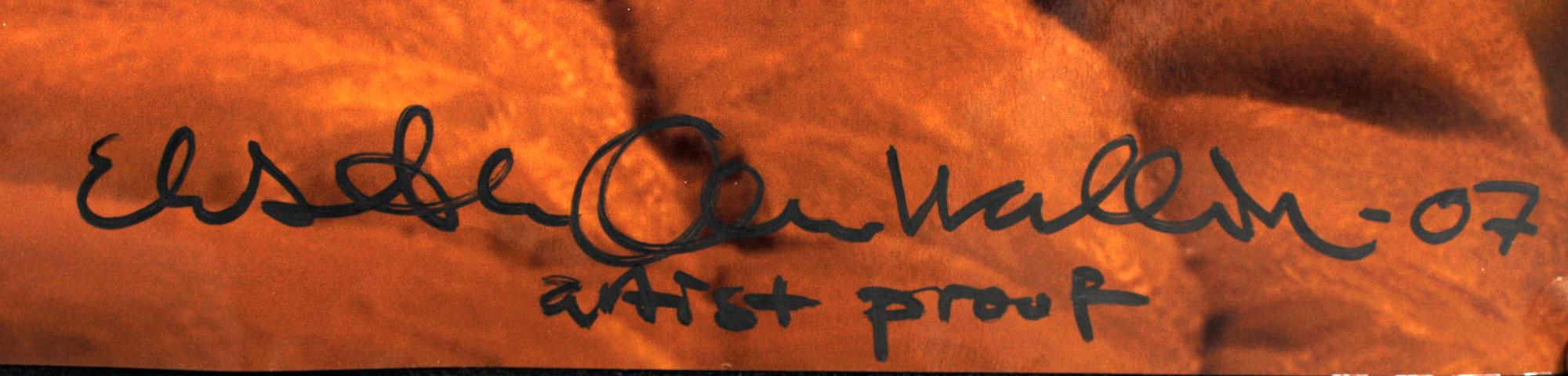ELISABETH OHLSON WALLIN, fotografi, sign o dat 07. A P.