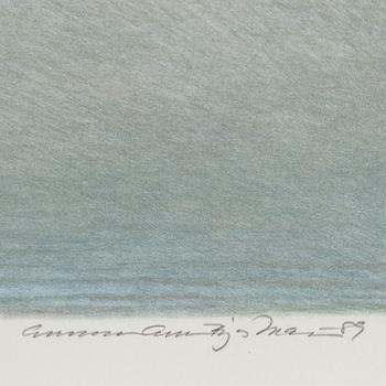GUNNAR "GEBBE" BJÖRKMAN, signed and dated -89 as well as numbered 30/190 in pencil.