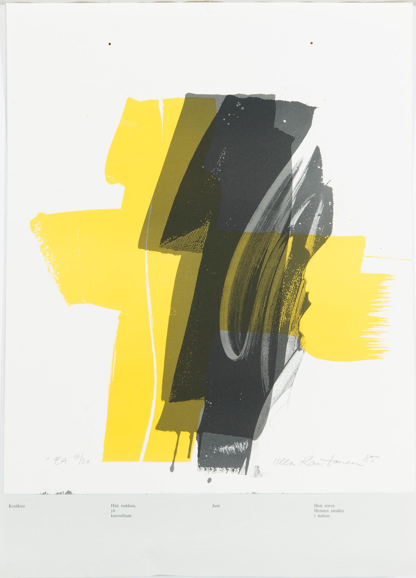 Grafikportfölj, 12 st, "Ljusets år".